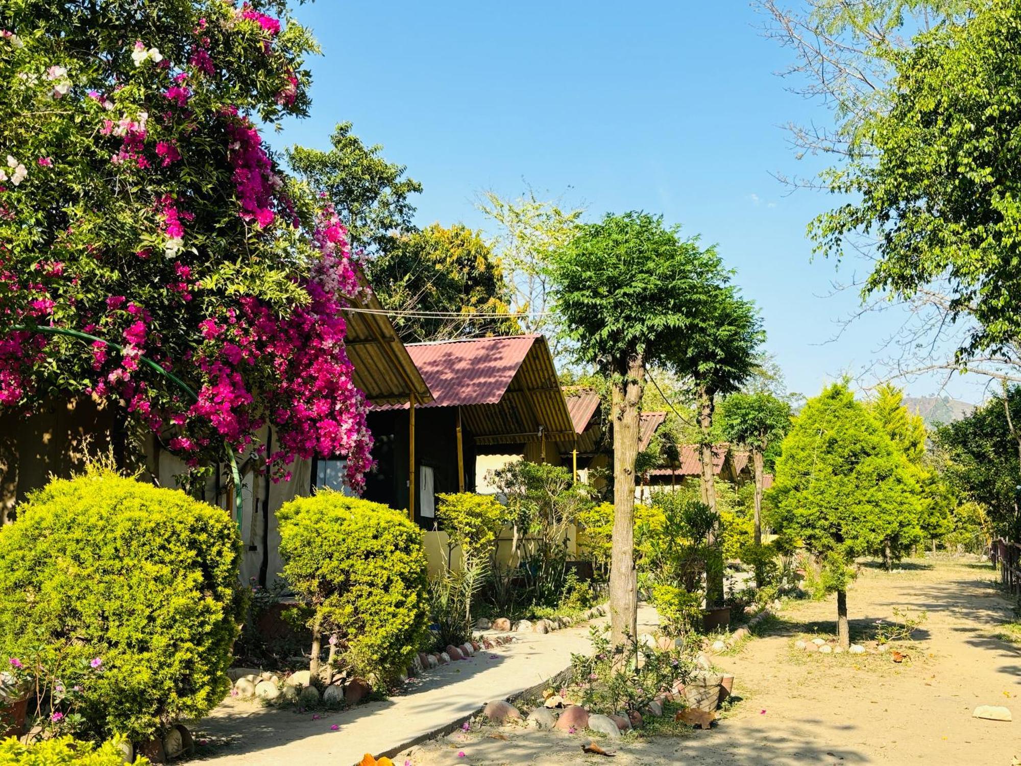 Camp High 5 Jayalgarh Hotel Dangchura Exterior photo