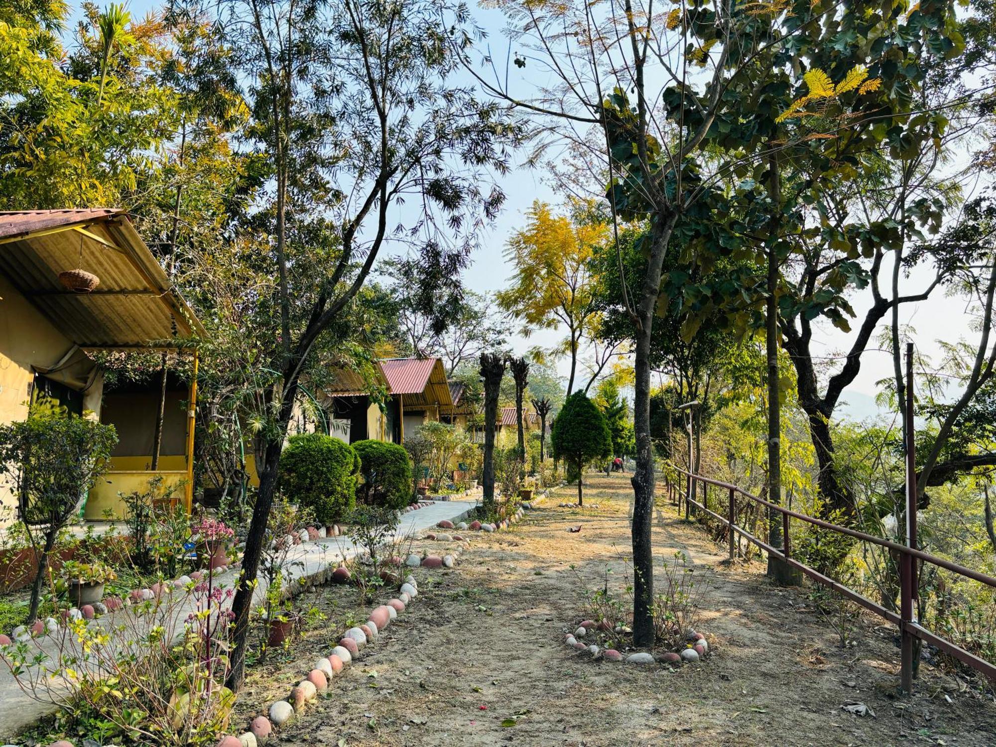 Camp High 5 Jayalgarh Hotel Dangchura Exterior photo